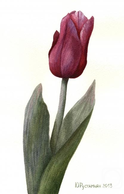 �������. ��������� ����. �������