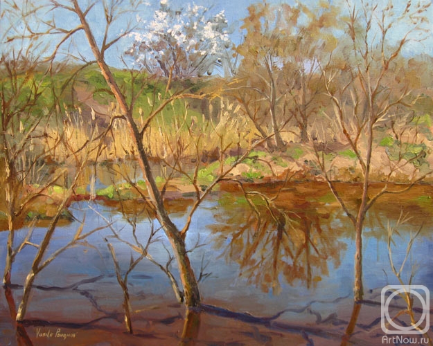 Pohomov Vasilii. Spring floods