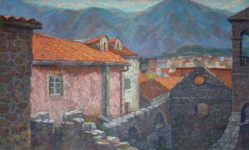Kotor Ruins of the old town. Volfson Pavel