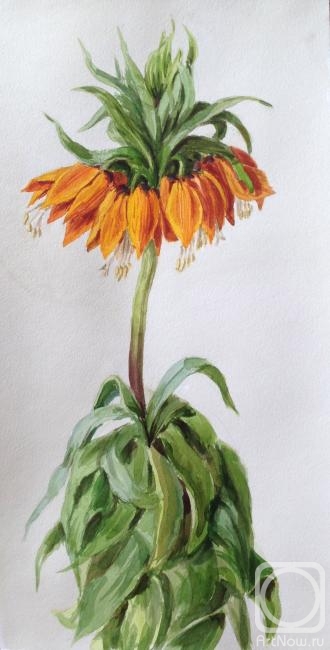 �������. ������� �����. ������