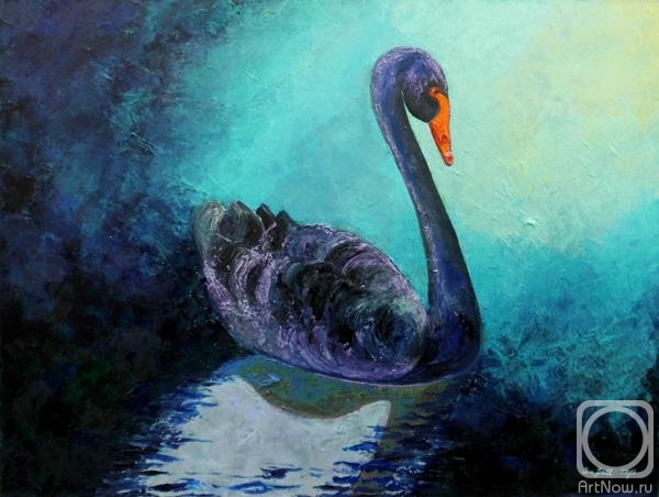 Batt Ira. The black swan