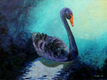 The black swan (A Smooth Surface). Batt Ira