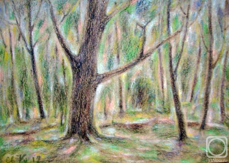 �������. ������� ���������. ����