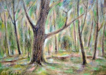 ������� �����