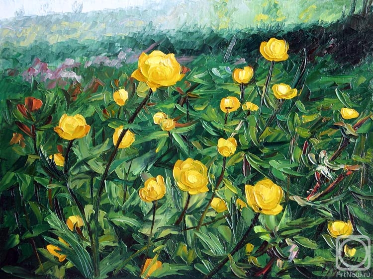 Krasovskaya Tatyana. Globeflowers