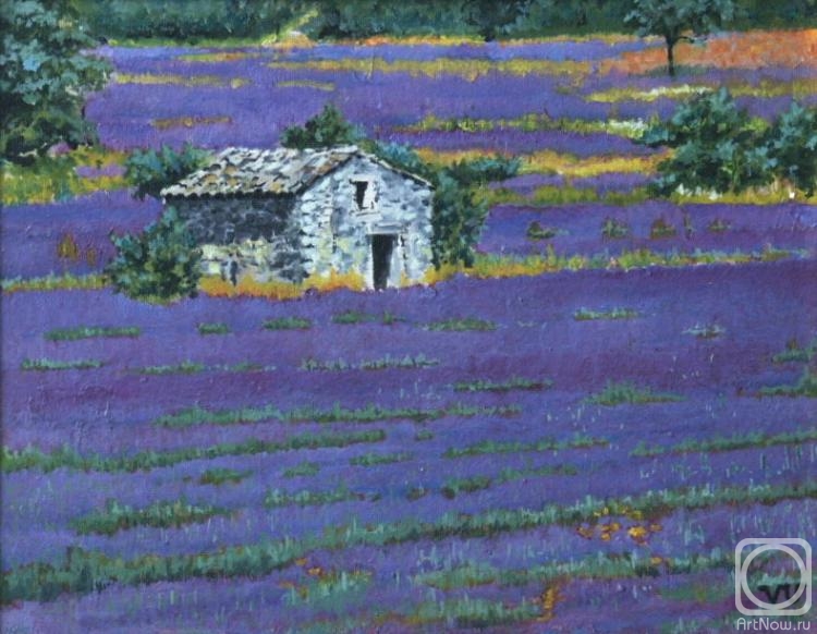 Udaltsov Vladimir. Province. The lavender field (study)