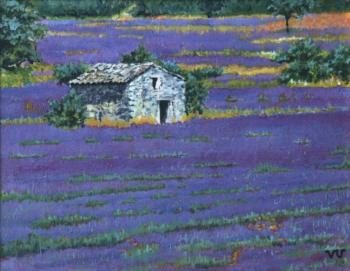 Province. The lavender field (study). Udaltsov Vladimir