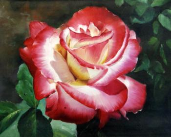 Rose (A Rose). Minaev Sergey