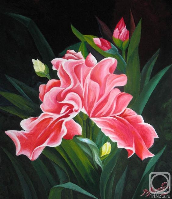 ������� ������ �� ������. ���������� ��������. ����� ��� ����. ���������