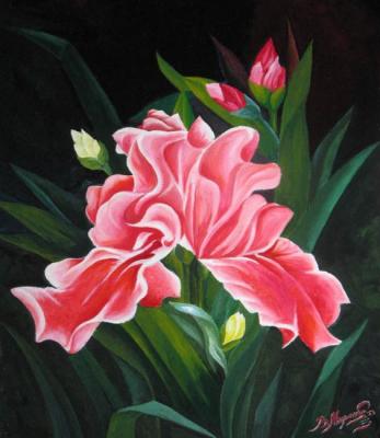 ������� ������ ��� ����. ���������