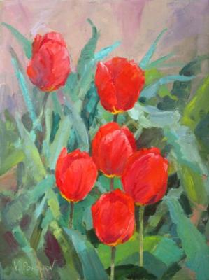Scarlet tulips. Pohomov Vasilii