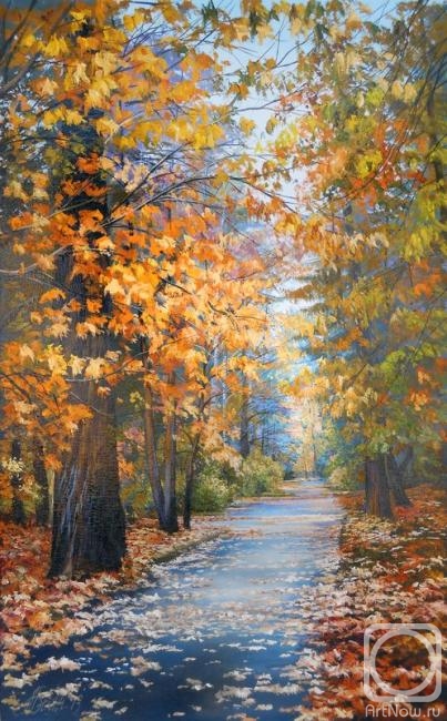 ������� ������ �� ������. ����� ���������. 285 ������� ����