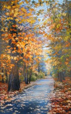 285 ������� ����