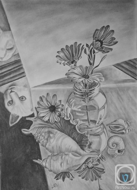 �������. ������� ���������. ������� �����������