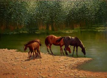Noon. Horses at the watering hole