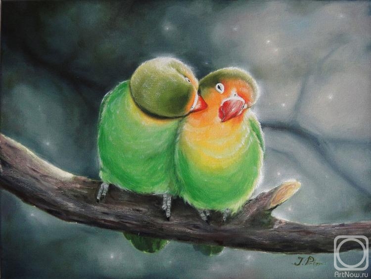 ������� ������ �� ������. ������ ����. ������� ��� ��������