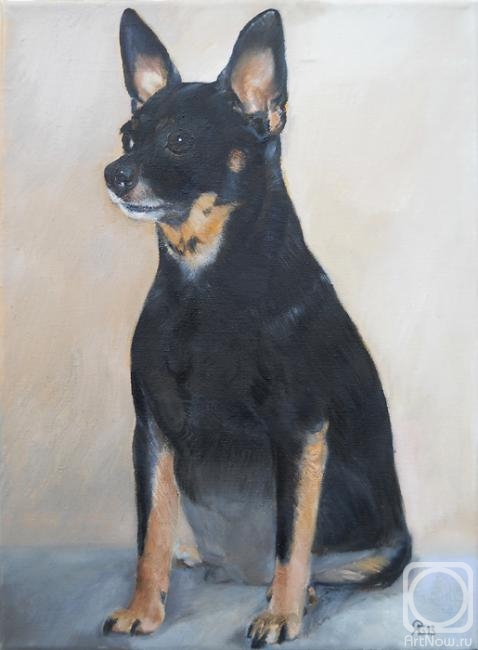 ������� ������ �� ������. �������� ������. ���-������. ����