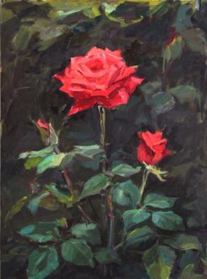 The Rose in my Garden. Deynega Tatyana