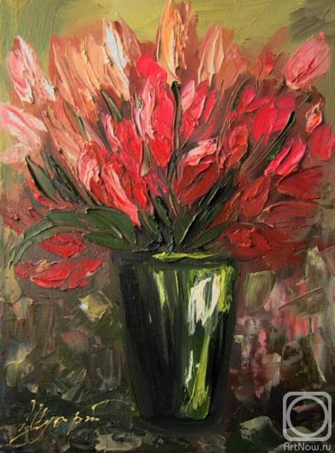 Shubert Anna. Untitled