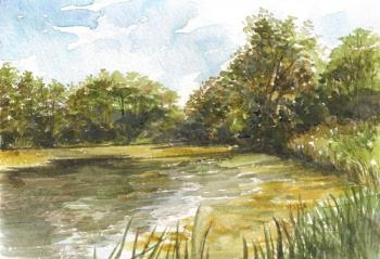 Pond near Radomli (option 2). Tarnovsky Dmitriy