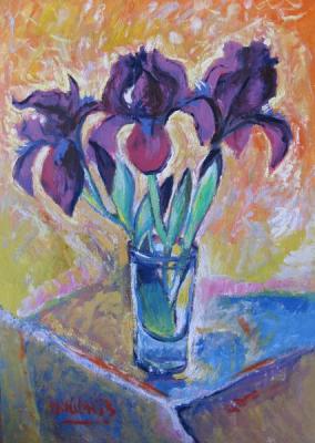 Three purple iris