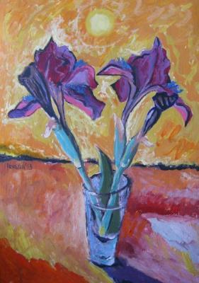 Two purple iris
