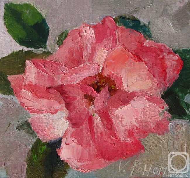 Pohomov Vasilii. The Rose