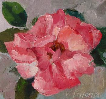 ������� �����