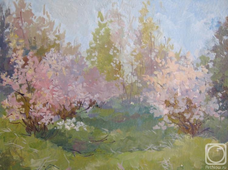 �������. ������� ��������. �������� ��� (����)