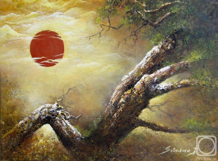 Sotnikova Diana. Sunset