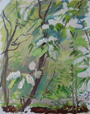 Painting Bird cherry branch. Dobrovolskaya Gayane