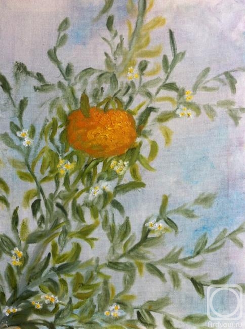 ������� ������ �� ������. ������ ����. ��������� �������� - ����� ������������