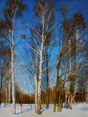 Birch Trees in winter. Egorov Viktor