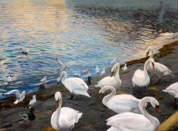 Картина «Лебединое озеро»