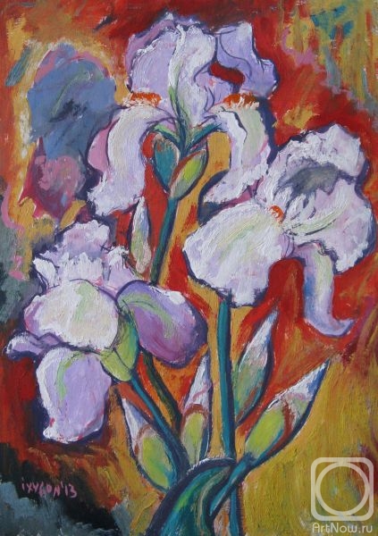 Ixygon Sergei. Light tone Irises