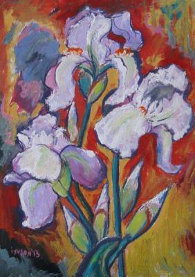 Light tone Irises. Ixygon Sergei