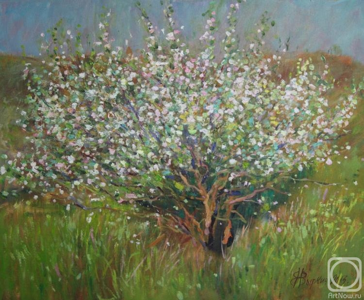 ������� ������ �� ������. ������ ��������. ����� ��������