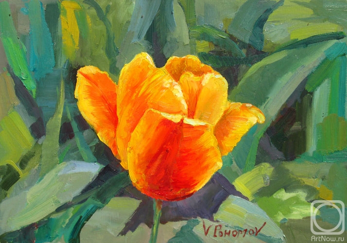 Pohomov Vasilii. Golden Tulip