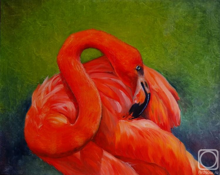 Razumova Svetlana. red Flamingo