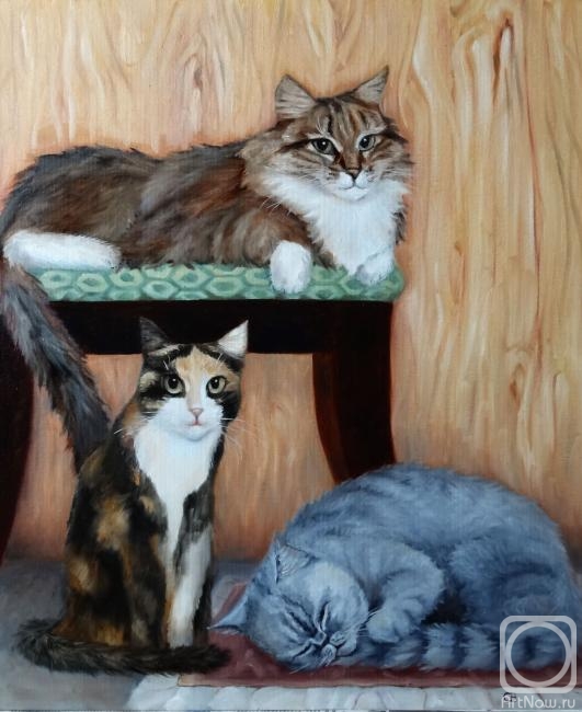 ������� ������ �� ������. �������� ��������. ��� ��������