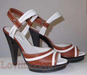 ������� ���������