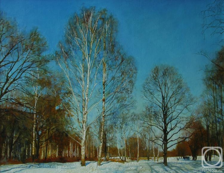 Egorov Viktor. Winter day in Petehgof suburbs