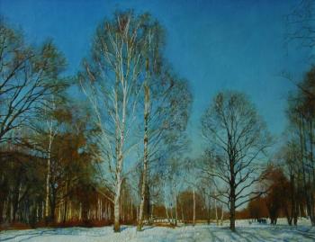 Winter day in Petehgof suburbs. Egorov Viktor