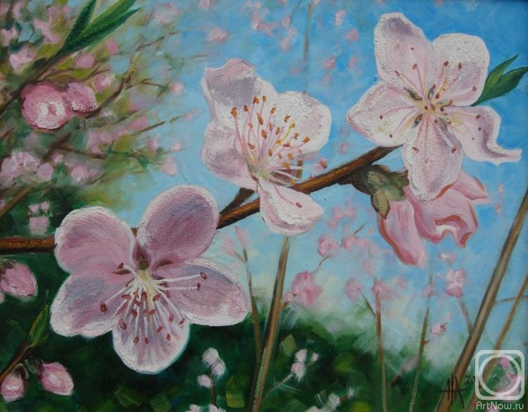 ������� ������ �� ������. ����� ����. ������ �����