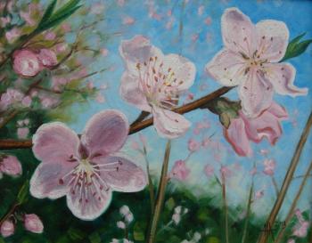 ������� ������� �����