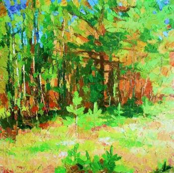 ������� ����� 52�