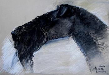 Kerry Blue Terrier. Voronova Oksana