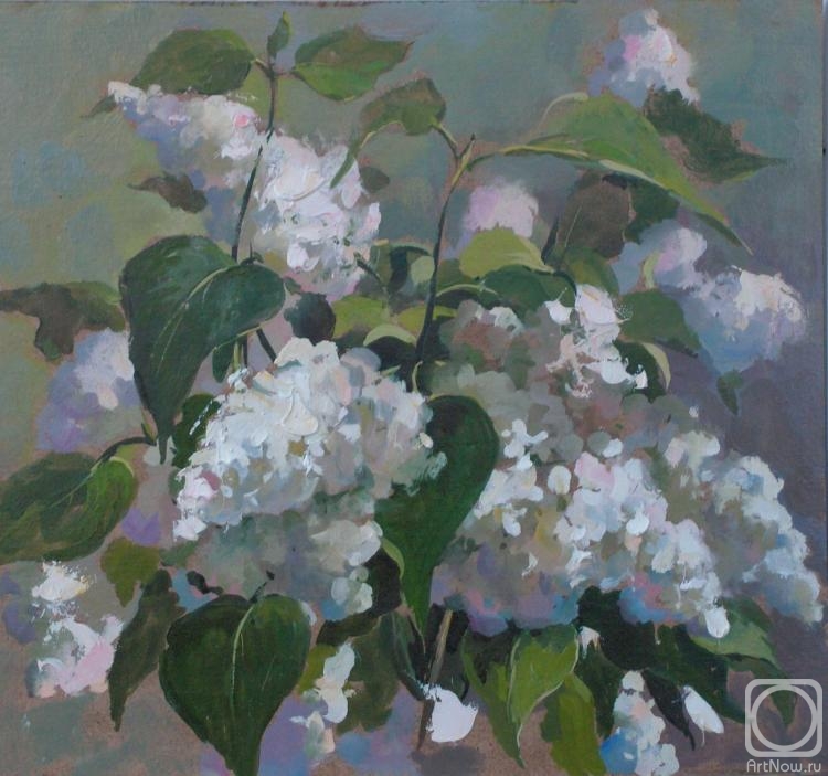 �������. ������ ������. ������ (����)