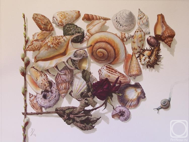 �������. ������ �������. ���� ������