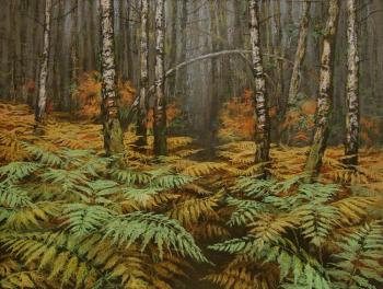 ����������